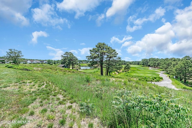 123 Skyline Dr, Lakewood, NJ 08701 - view of local wilderness with a large body of water