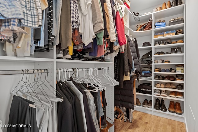 69 Eayrestown Rd, Medford, NJ 08055 - spacious closet featuring wood finished floors