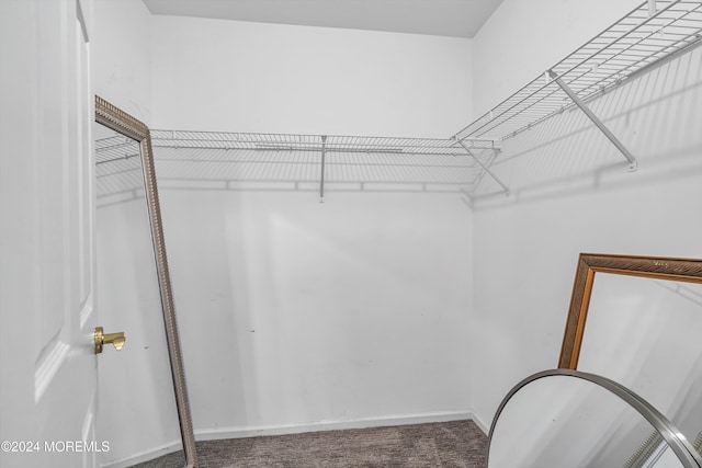 1501 Pine Park Ave, Lakewood, NJ 08701 - spacious closet featuring carpet