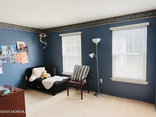 22 Enclosure Dr, Morganville, NJ 07751 - carpeted bedroom featuring multiple windows