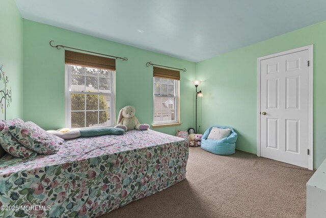 22 Enclosure Dr, Morganville, NJ 07751 - bedroom with carpet floors