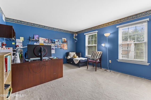 22 Enclosure Dr, Morganville, NJ 07751 - office space with carpet