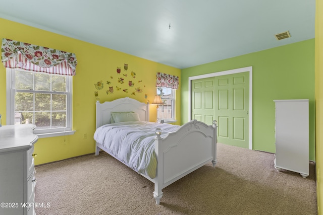 22 Enclosure Dr, Morganville, NJ 07751 - bedroom with carpet floors, multiple windows, and a closet