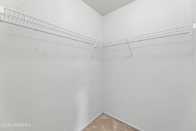 238 Larchwood Ct, Howell, NJ 07731 - walk in closet with light carpet