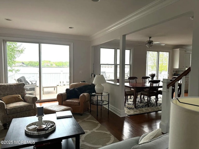 443 Driveway, Oceanport, NJ 07757 - living room featuring wood finished floors, ceiling fan, ornamental molding, and baseboards