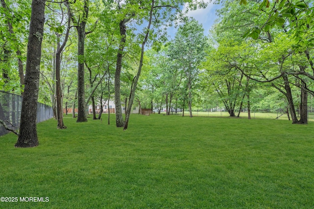 137 Willow Dr, Jackson, NJ 08527 - view of green lawn