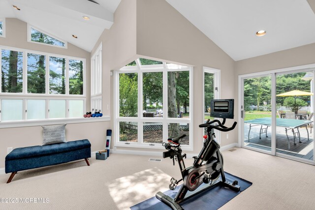 2627 Ramshorn Dr, Manasquan, NJ 08736 - exercise area with carpet flooring, high vaulted ceiling, and recessed lighting