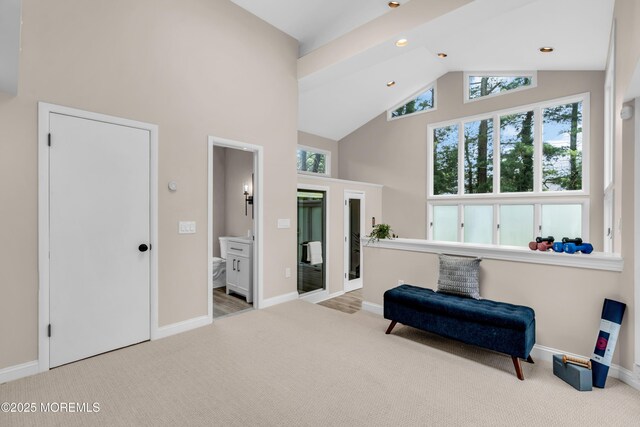 2627 Ramshorn Dr, Manasquan, NJ 08736 - sitting room with high vaulted ceiling and carpet