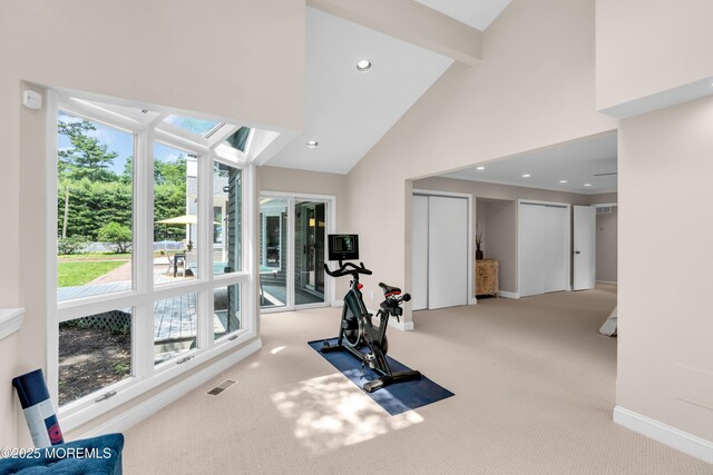 2627 Ramshorn Dr, Manasquan, NJ 08736 - workout room with high vaulted ceiling, carpet, healthy amount of natural light, and recessed lighting