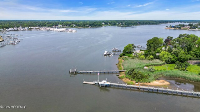 2627 Ramshorn Dr, Manasquan, NJ 08736 - bird's eye view of a large body of water