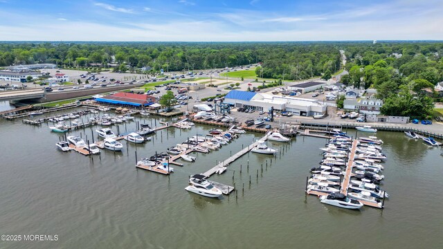 2627 Ramshorn Dr, Manasquan, NJ 08736 - aerial view of numerous boat docks