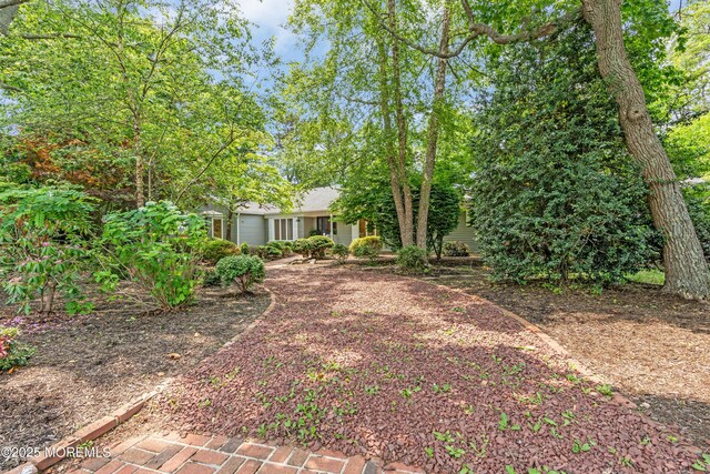 2627 Ramshorn Dr, Manasquan, NJ 08736 - view of yard