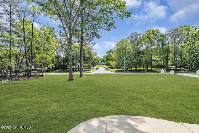 20 Overlook Dr, Jackson, NJ 08527 - photo 97