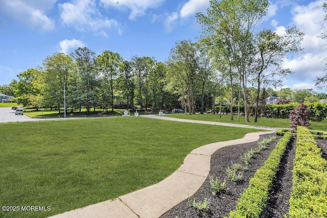 20 Overlook Dr, Jackson, NJ 08527 - photo 96
