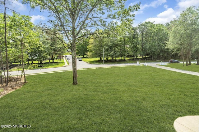 20 Overlook Dr, Jackson, NJ 08527 - photo 92
