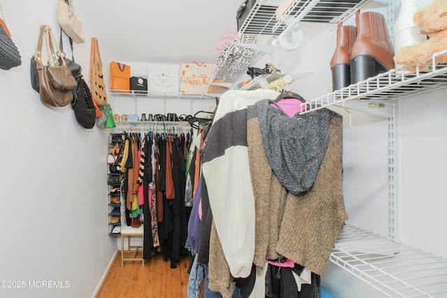 511 Coppola Dr, South Plainfield, NJ 07080 - walk in closet featuring wood finished floors