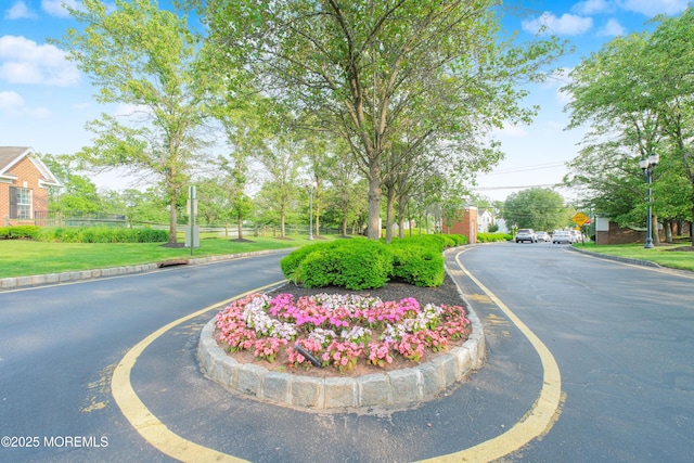 511 Coppola Dr, South Plainfield, NJ 07080 - view of asphalt road featuring curbs, traffic signs, and street lighting