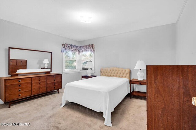 361 Meadowbrook Ave, Eatontown, NJ 07724 - bedroom featuring light colored carpet