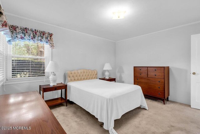 361 Meadowbrook Ave, Eatontown, NJ 07724 - bedroom with light colored carpet and crown molding