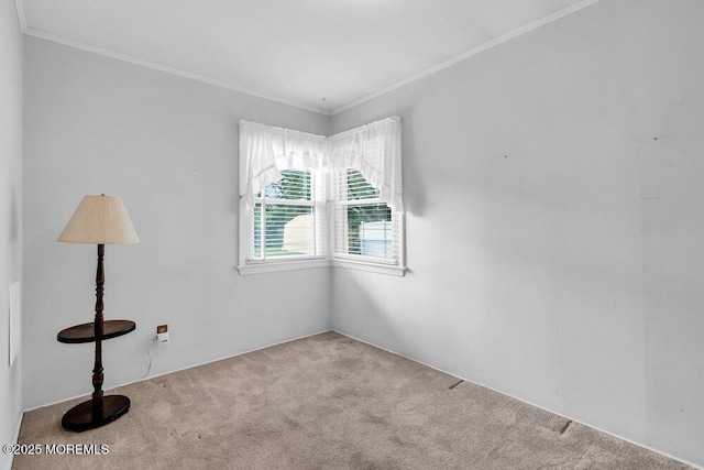 361 Meadowbrook Ave, Eatontown, NJ 07724 - unfurnished room with carpet floors and ornamental molding