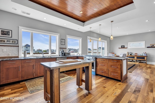1639 Bay Blvd, Ortley Beach, NJ 08751 - kitchen featuring appliances with stainless steel finishes, a tray ceiling, dark countertops, a peninsula, and light wood-style flooring