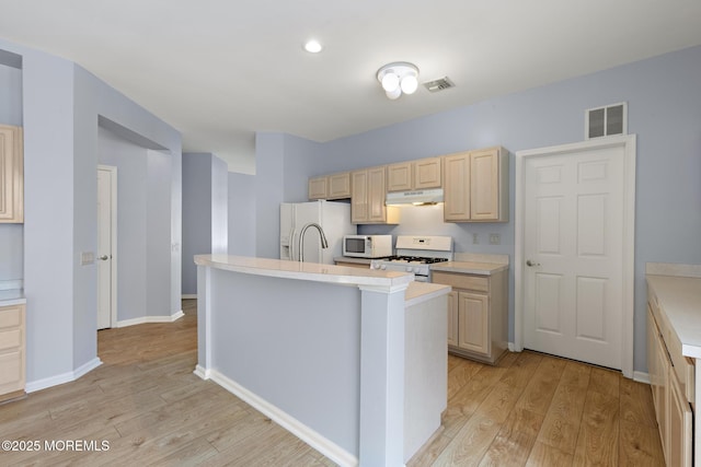 18 Valley Stream Pl, Barnegat, NJ 08005 - kitchen with white appliances, light brown cabinets, under cabinet range hood, light countertops, and light wood-style floors
