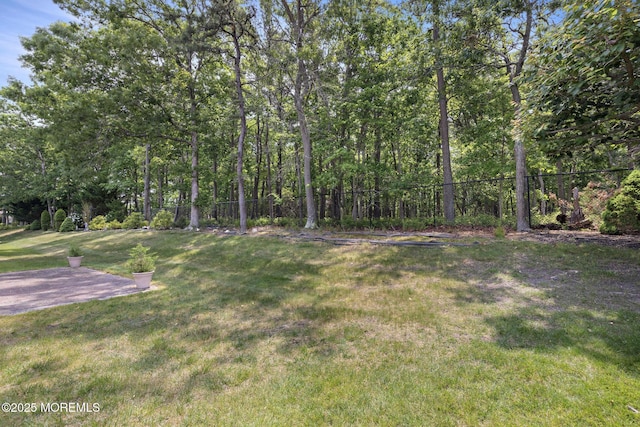 18 Valley Stream Pl, Barnegat, NJ 08005 - view of yard