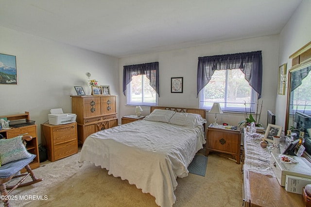 186 Laurel Pl Unit B, Whiting, NJ 08759 - bedroom with multiple windows and light colored carpet