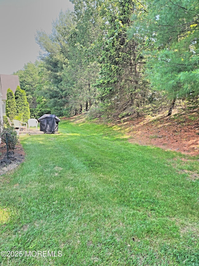 12 Skylark Ln, Lakewood, NJ 08701 - view of green lawn