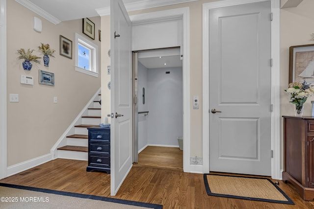 497 Ellison Dr, Mantoloking, NJ 08738 - photo 47