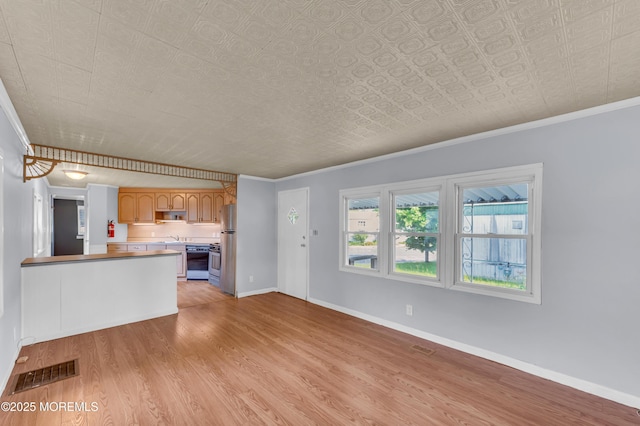 23 Southwind Cir, Jackson, NJ 08527 - unfurnished living room with light wood finished floors, ornamental molding, baseboards, an ornate ceiling, and a sink