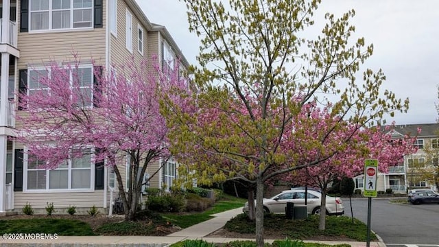 326 Sloan Ct, Matawan, NJ 07747 - view of yard