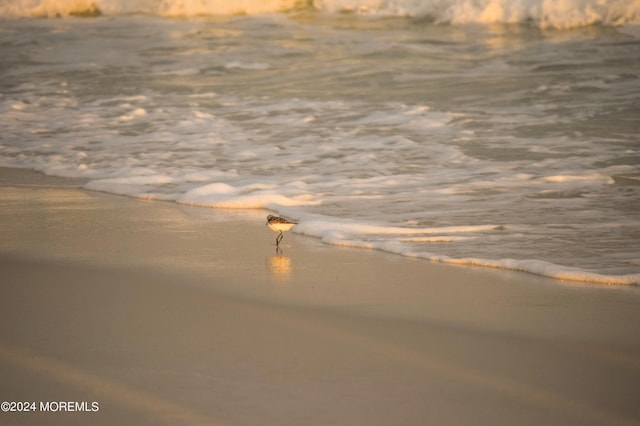 305 Franklin Ave, Seaside Heights, NJ 08751 - water view