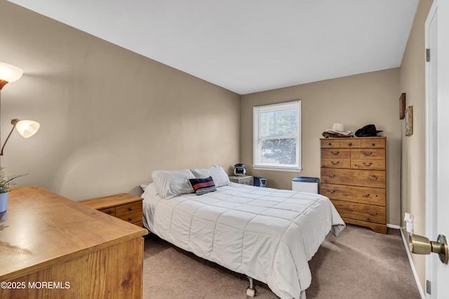 711 Chelsea St, Forked River, NJ 08731 - view of carpeted bedroom