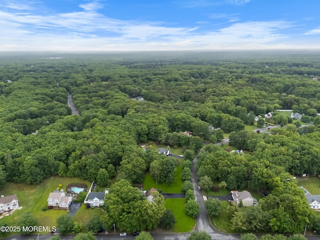 17 Durell Dr, Jackson, NJ 08527 - bird's eye view of a forest