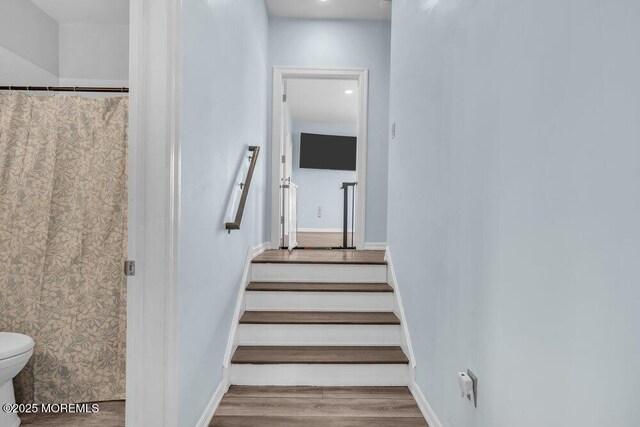 3158 Windsor Ave, Toms River, NJ 08753 - photo 76
