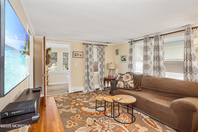 81 Curtis Pl, Manasquan, NJ 08736 - living room featuring healthy amount of natural light, wood finished floors, crown molding, and baseboards