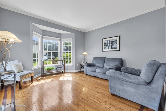 8 Reagan Dr, Jackson, NJ 08527