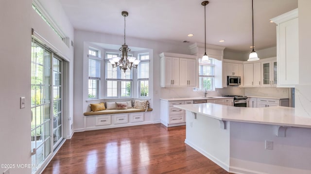 38 Ocean Grove Ln, Waretown, NJ 08758 - kitchen featuring stainless steel appliances, healthy amount of natural light, white cabinetry, dark wood-style floors, and recessed lighting