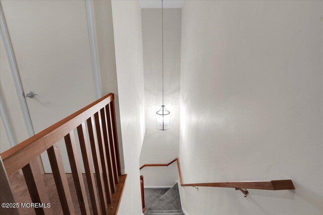 503 Oswego Ct, Mount Laurel, NJ 08054 - staircase with carpet flooring