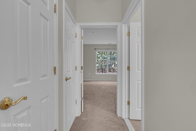 113 Sophee Ln, Lakewood, NJ 08701 - hall featuring light carpet and baseboards