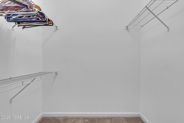 113 Sophee Ln, Lakewood, NJ 08701 - spacious closet with light carpet