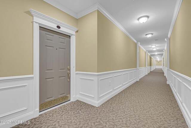 113 Sophee Ln, Lakewood, NJ 08701 - hall with light colored carpet, crown molding, a decorative wall, and a wainscoted wall