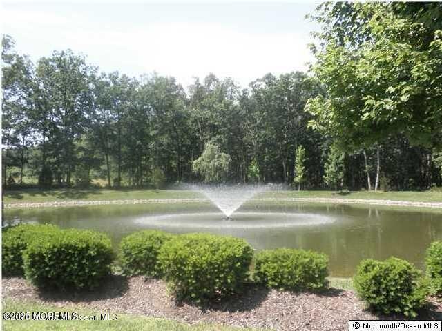 113 Sophee Ln, Lakewood, NJ 08701 - water view