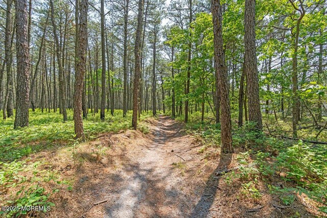 248 Orlando Blvd, Toms River, NJ 08757 - photo 46
