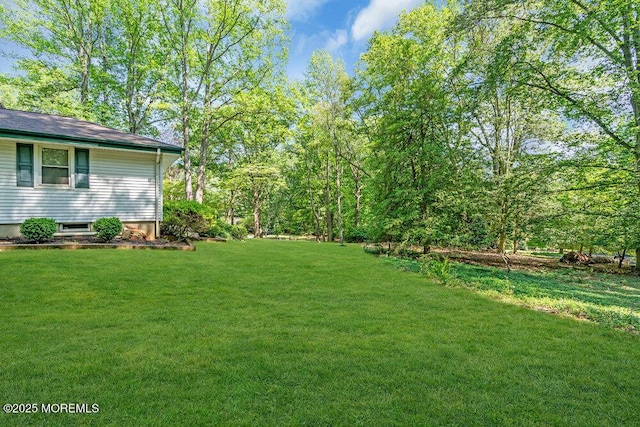 7 E Parkway Pl, Holmdel, NJ 07733 - view of green lawn
