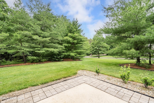1 Maywood Run, Tinton Falls, NJ 07753 - view of green lawn
