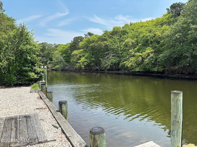 1124 Skiff Way Dr, Forked River, NJ 08731 - dock area featuring a water view and a view of trees
