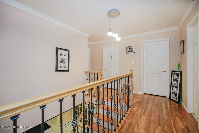 6 Quid Pl, Manalapan, NJ 07726 - corridor featuring crown molding, light wood-style flooring, baseboards, and an upstairs landing