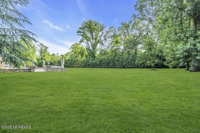 23 Pilgrim Way, Colts Neck, NJ 07722 - view of green lawn
